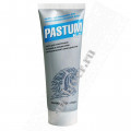 Герметик паста PASTUM H2O 150 гр.